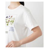 半袖Tシャツ | Leilian | 詳細画像21