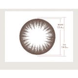 カラコン WAVEワンデー UV リング plus 10枚入り | LENS APPLE | 詳細画像8