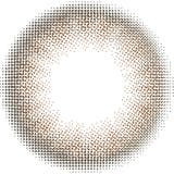 レヴィアワンデー カラー トーリック 10枚入り | LENS APPLE | 詳細画像3 