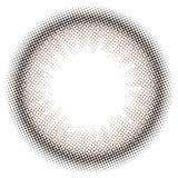 トパーズ ワンデー シリコーンハイドロゲル 10枚入り | LENS APPLE | 詳細画像3 