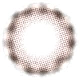 トパーズ ワンデー シリコーンハイドロゲル 10枚入り | LENS APPLE | 詳細画像9 