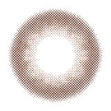 トパーズ マンスリー 2枚入り | LENS APPLE | 詳細画像15