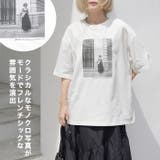 COOL Tシャツ USAコットン | LFO | 詳細画像4