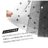 \マキシ丈登場♪ | LFO | 詳細画像4