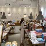 前開きえり付きニットワンピース/ストリングベルト | LETee | 詳細画像12