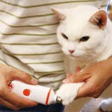 爪切り ペット用 電動爪トリマー | livingut | 詳細画像2