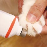 爪切り ペット用 電動爪トリマー | livingut | 詳細画像4