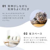 背中のびのび縦型爪とぎ 猫 ハイタイプ | livingut | 詳細画像4 