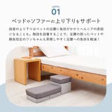 ペット階段 2段 収納ボックス | livingut | 詳細画像3