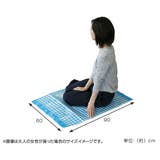 レジャーシート ギンガムチェック S | livingut | 詳細画像2 