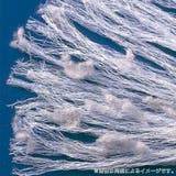 ほこり取り エレキャッチスター 洗える | livingut | 詳細画像4 