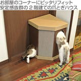キャットハウス 2階建て またたび | livingut | 詳細画像2