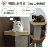 キャットハウス 2階建て またたび | livingut | 詳細画像5