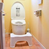 トイレ 踏み台 ヨークデル | livingut | 詳細画像11 