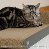 レザー調爪とぎ TOGITOGI マウンテン | livingut | 詳細画像3 