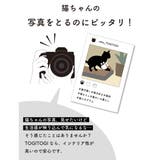 レザー調爪とぎ TOGITOGI マウンテン | livingut | 詳細画像9 