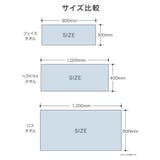 タオル マイクロファイバー 40×100cm | livingut | 詳細画像6
