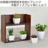 シェルフ チェリーウッド 24×22cm | livingut | 詳細画像2 