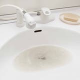 ブラシ 排水管 掃除 | livingut | 詳細画像4 