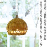 AROROG シェードハングランプ タイプ2 | livingut | 詳細画像2