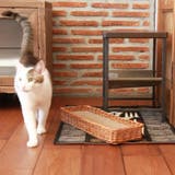 爪とぎバスケット ラタン ケース | livingut | 詳細画像5