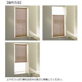 スクリーン 小窓用 竹スクリーン | livingut | 詳細画像17