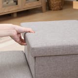 ドッグステップ 収納付きペットステップ 2段 | livingut | 詳細画像6