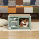 爪とぎ 猫の爪とぎ 缶詰 | livingut | 詳細画像7