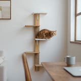 浮かせる家具ブラケット 1本用 LABRICO | livingut | 詳細画像9