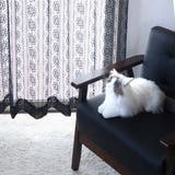 レースカーテン ブラックレース 100×88～148cm | livingut | 詳細画像11 