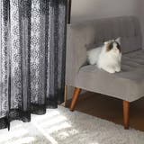 レースカーテン ブラックレース 100×88～148cm | livingut | 詳細画像6 