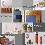 貼ってはがせる 壁紙 リメイクシート | livingut | 詳細画像7 