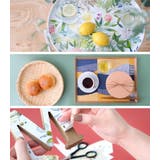 リメイクシート mt Retrobirds | livingut | 詳細画像5 