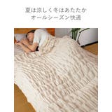 くしゅくしゅまいにちケット オールシーズン仕様 シングル | livingut | 詳細画像5