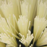 ブラシ 道具洗いブラシ ハンディ | livingut | 詳細画像3 