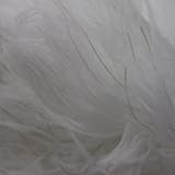 ホコリ取り ハンディモップ 除電ダスター | livingut | 詳細画像4 