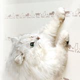 ツメ傷保護用シート コーナー用 ドア用 | livingut | 詳細画像6