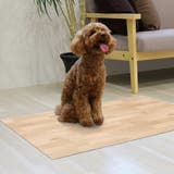 ペット用消臭防水シート 60cm×90cm ペット | livingut | 詳細画像11