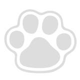 フードボウル Miya Wan | livingut | 詳細画像7 