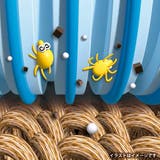 スペアのみ スペアテープ コロコロ | livingut | 詳細画像5