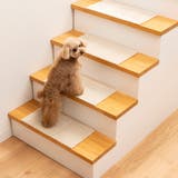 階段マット ピタペトモ ミニサイズ | livingut | 詳細画像5 