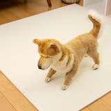 ズレない ジョイントマット 30cm | livingut | 詳細画像17 