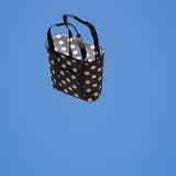 クーラーバッグ reisenthel THERMOSHOPPER | livingut | 詳細画像11