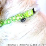 首輪 小型犬 XS | livingut | 詳細画像5