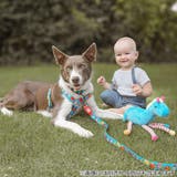 首輪 小型犬 XS | livingut | 詳細画像7