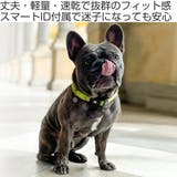 首輪 小型犬 XS | livingut | 詳細画像2