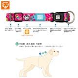 首輪 小型犬 XS | livingut | 詳細画像7