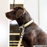 リード 犬 L | livingut | 詳細画像7