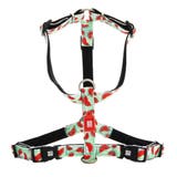 ハーネス 小型犬 XS | livingut | 詳細画像12 