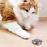 おもちゃ 猫 エルシック | livingut | 詳細画像4